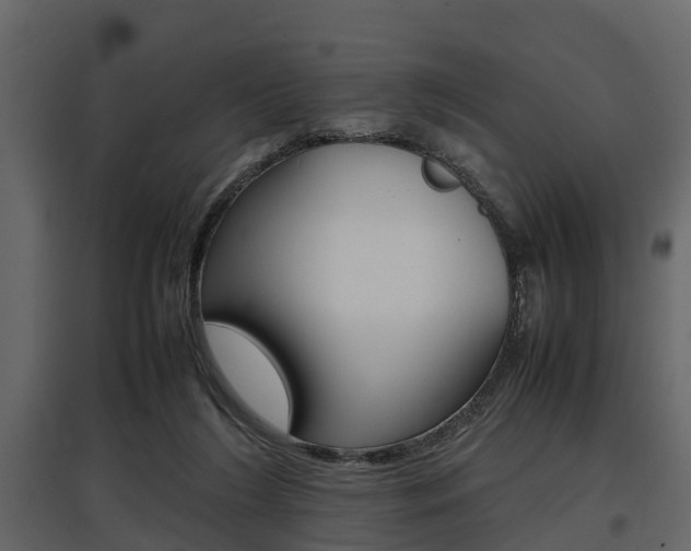X0000097800212200803140744