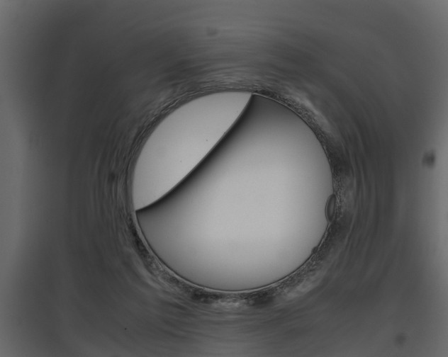 X0000097800213200803140744