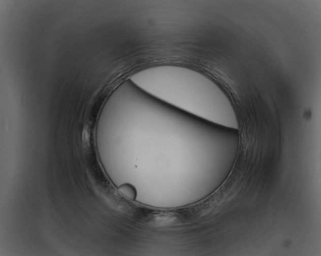 X0000097800214200803140743