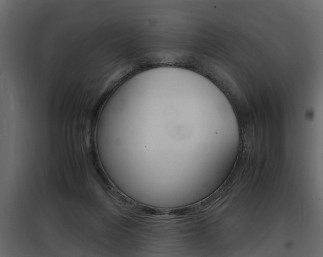 X0000097800216200803140743