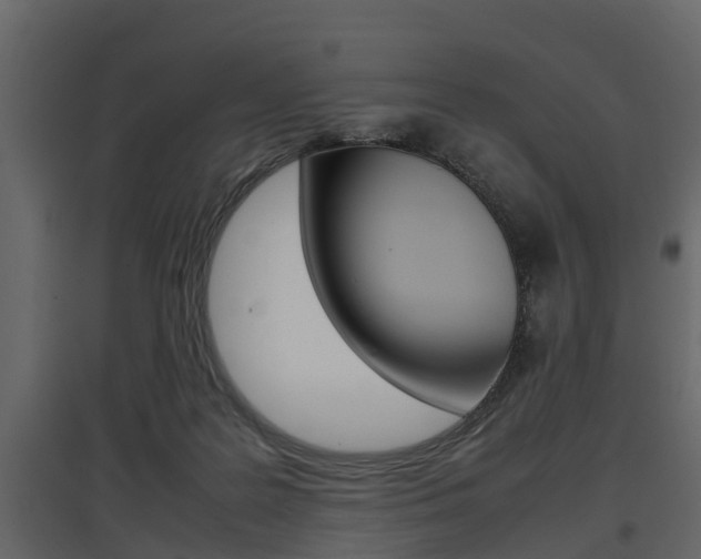 X0000097800219200803140743