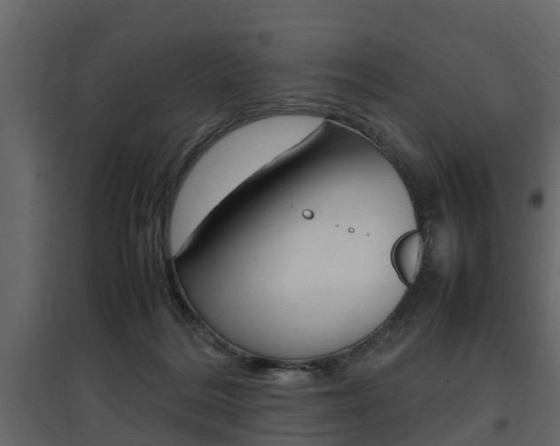 X0000097800220200803140743