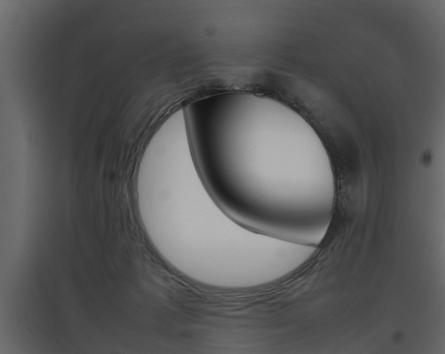 X0000097800221200803140743