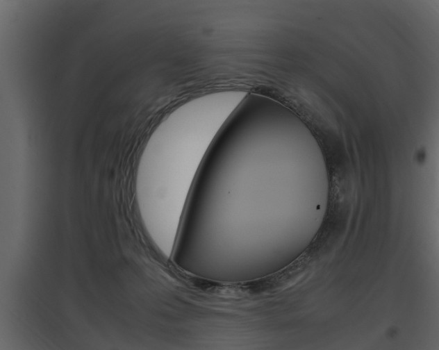 X0000097800223200803140743