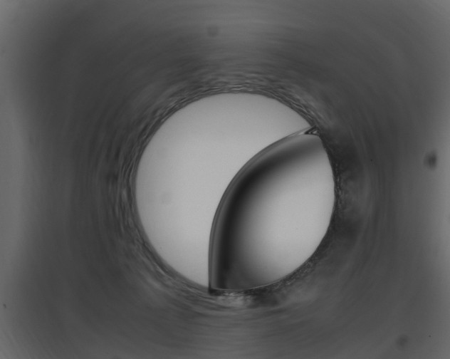 X0000097800225200803140743