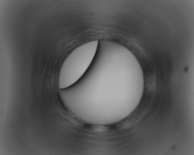 X0000097800226200803140743