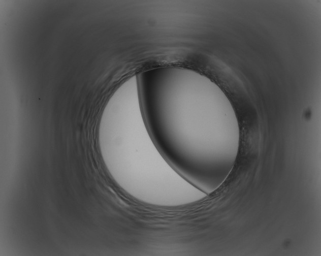 X0000097800227200803140743