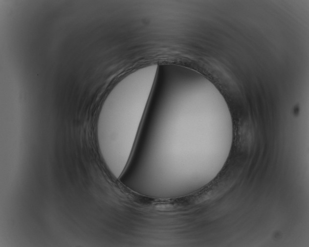 X0000097800228200803140743