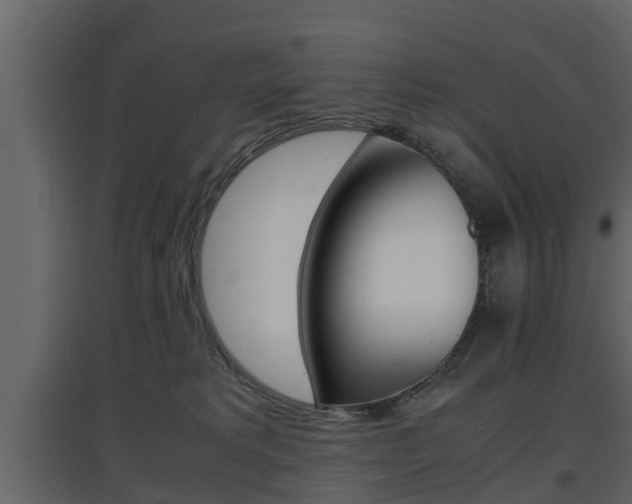 X0000097800229200803140743