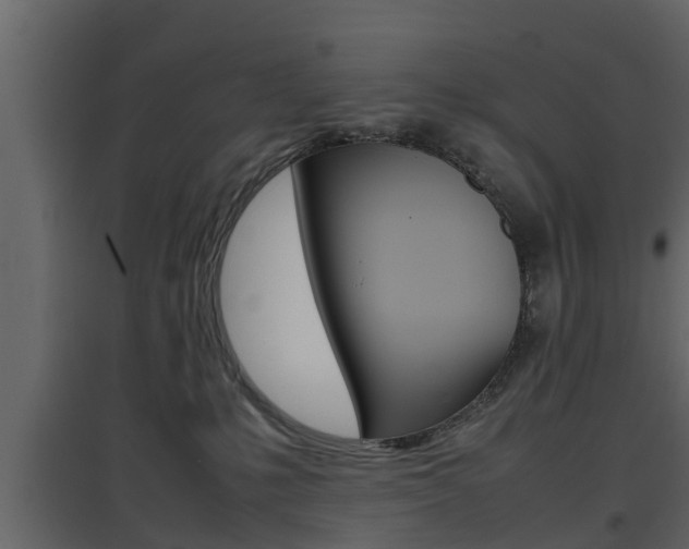X0000097800231200803140743