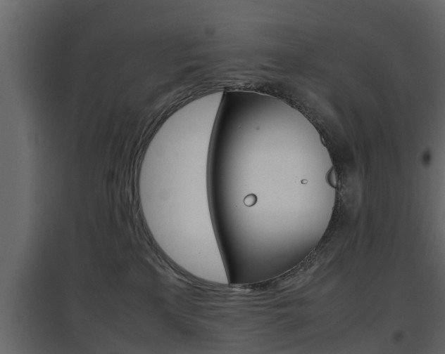 X0000097800233200803140743