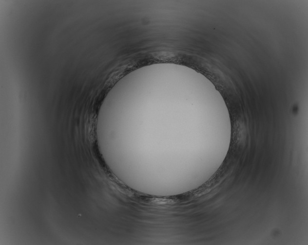 X0000097800234200803140743
