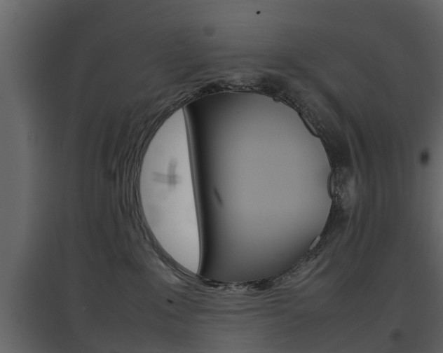 X0000097800235200803140743