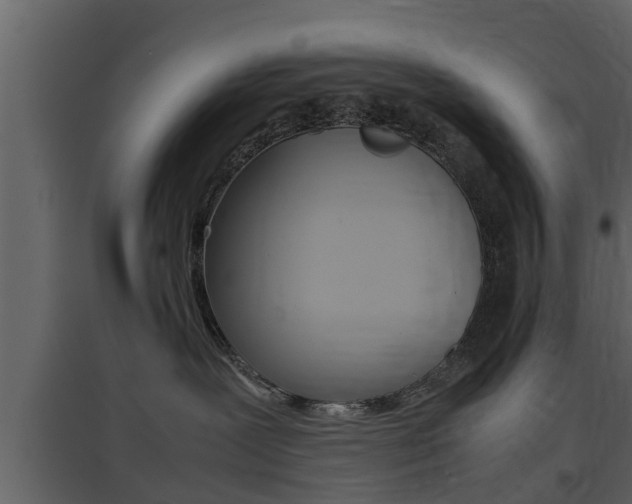 X0000097800239200803140743