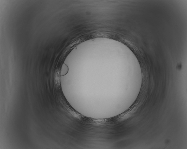 X0000097800240200803140743