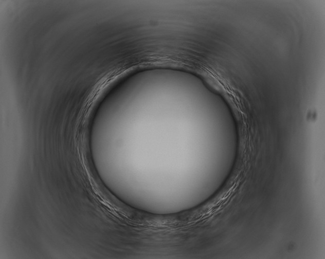 X0000097800241200803140742