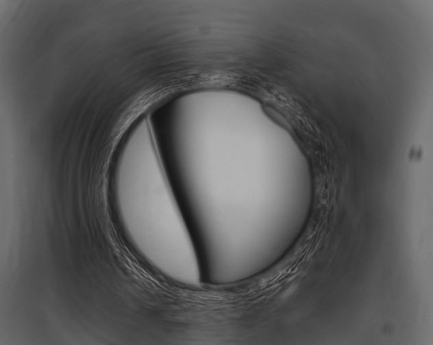 X0000097800242200803140742