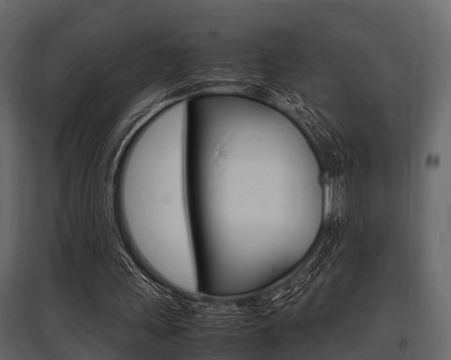 X0000097800243200803140742