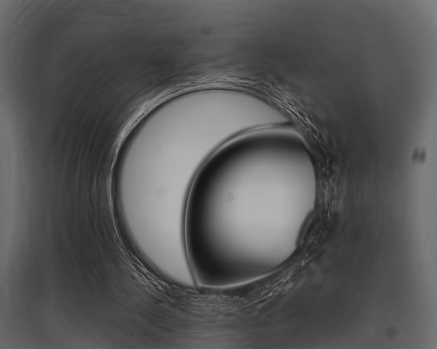 X0000097800244200803140742