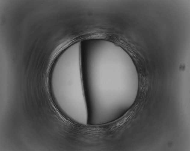 X0000097800245200803140742