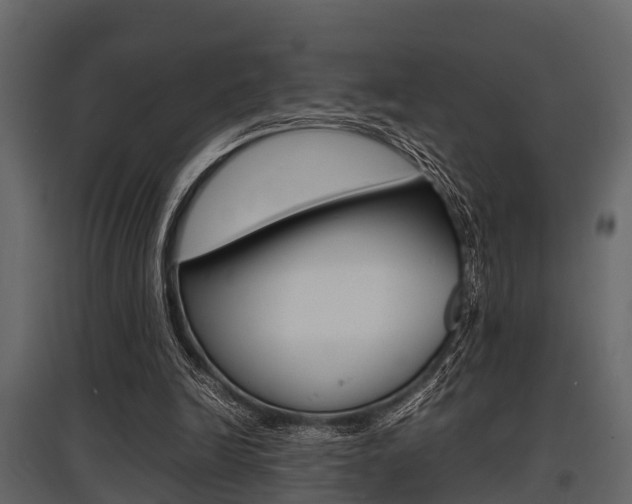 X0000097800246200803140742