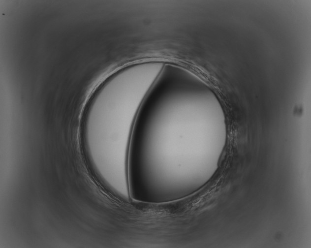 X0000097800248200803140742