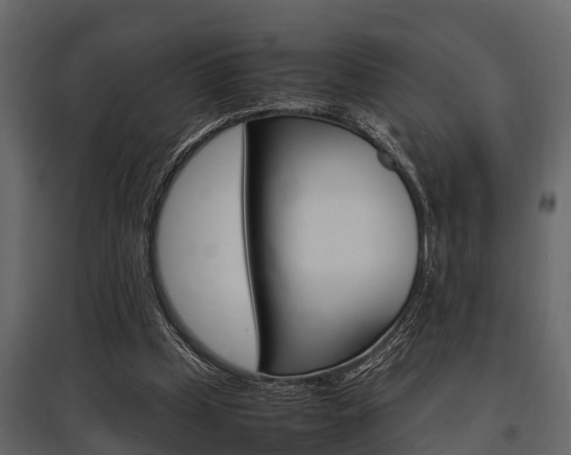 X0000097800249200803140742