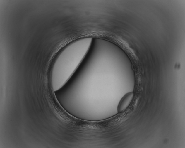 X0000097800250200803140742