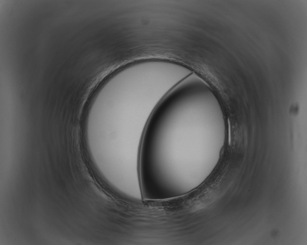 X0000097800252200803140742