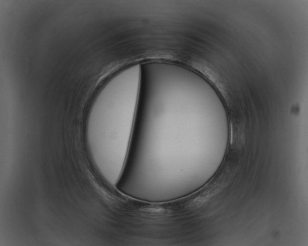 X0000097800253200803140742