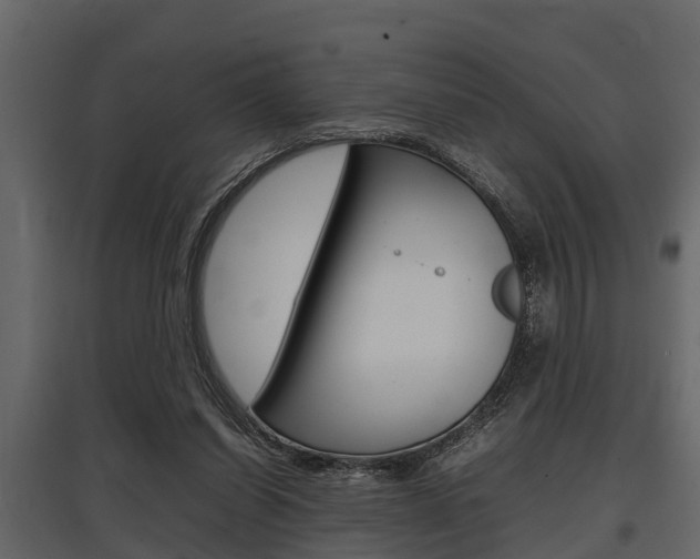 X0000097800254200803140742