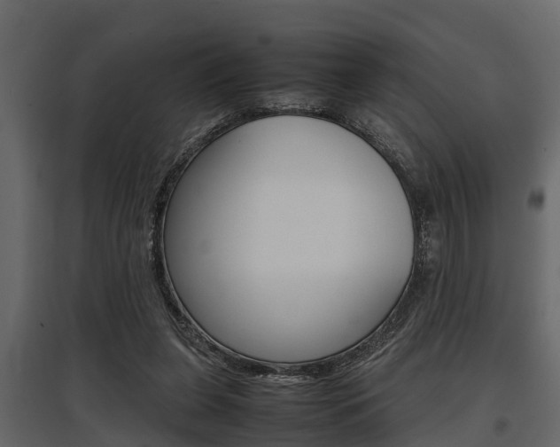 X0000097800255200803140742