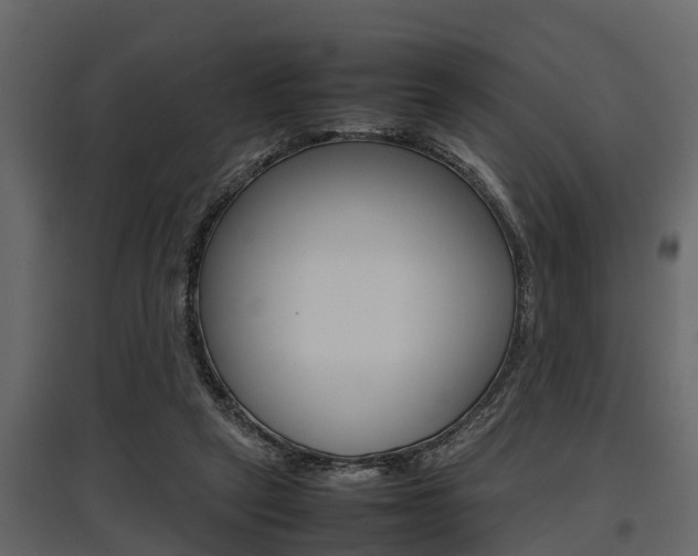X0000097800257200803140743