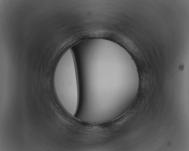 X0000097800258200803140743