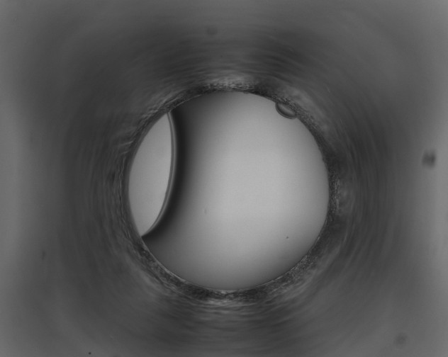 X0000097800259200803140743