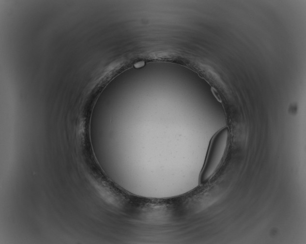 X0000097800260200803140743