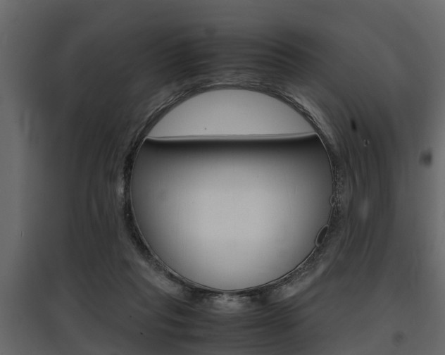 X0000097800261200803140743