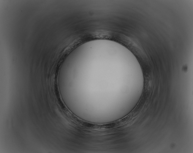 X0000097800263200803140743