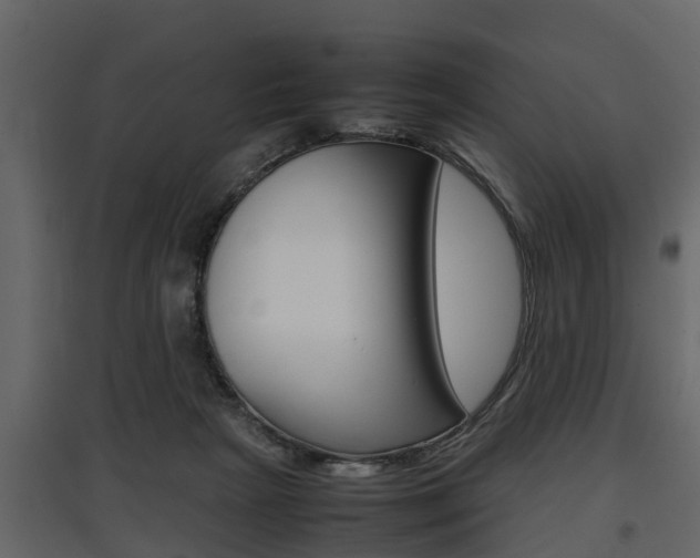 X0000097800265200803140743