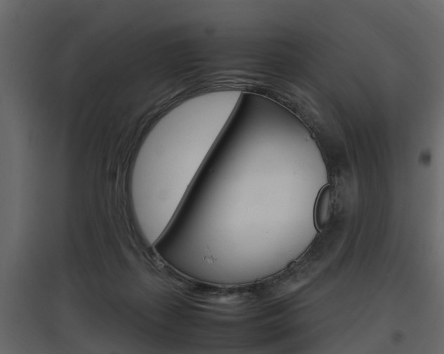 X0000097800267200803140743