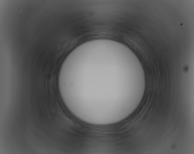 X0000097800268200803140743