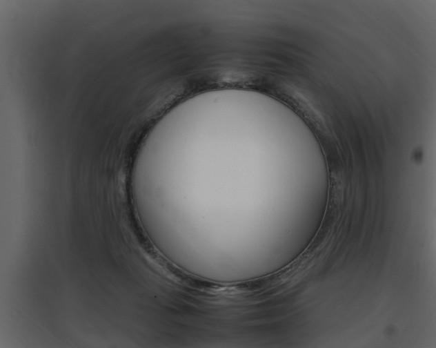 X0000097800269200803140743
