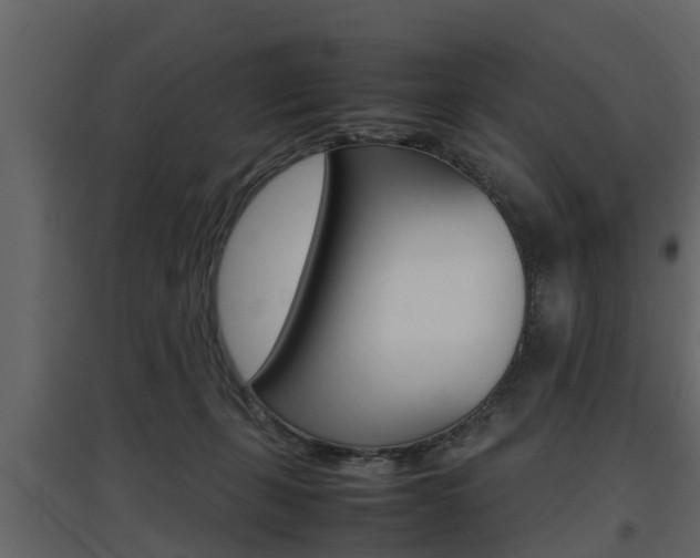 X0000097800271200803140743
