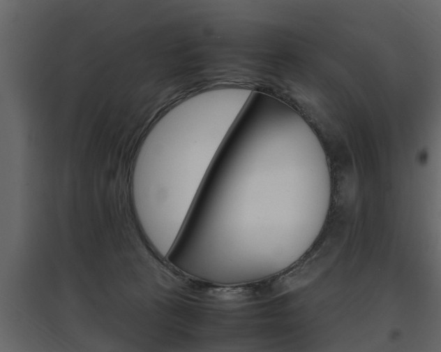 X0000097800273200803140743
