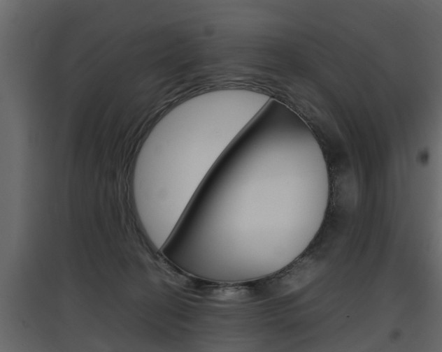 X0000097800274200803140743