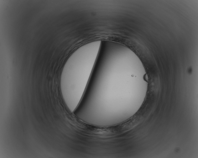 X0000097800275200803140743
