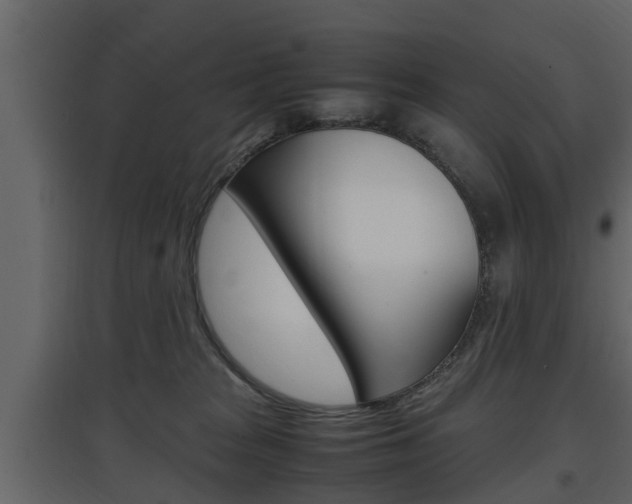X0000097800277200803140743