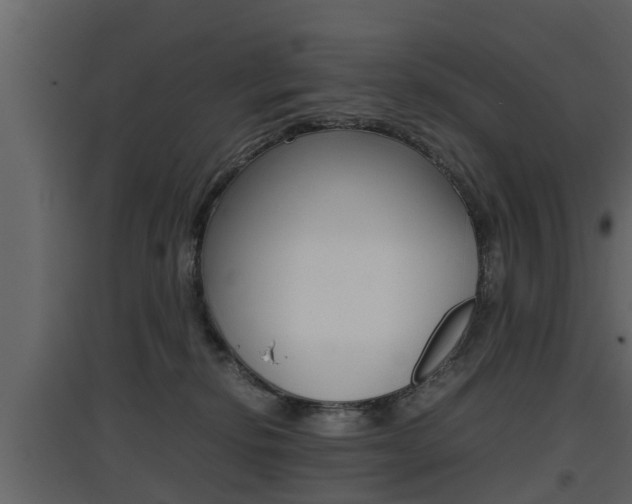 X0000097800278200803140743