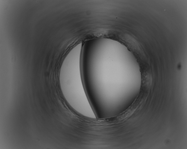 X0000097800280200803140743