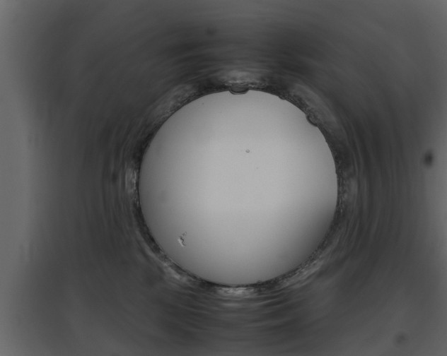 X0000097800281200803140743